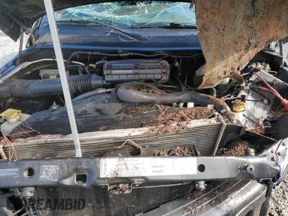 2001 Dodge 1500 z VIN 1B7HF13Y61J272444, wystawiony jako Copart lot #82283795 z przebiegiem 217 834 mil mil oraz Szkoda całkowita • Salvage title. Historia ofert i sprzedaży dostępna na DreamBid. Obrazek 11.