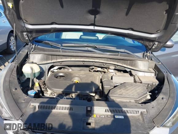 2019 Hyundai Tucson Value с VIN KM8J3CA49KU038347, выставлен на аукционе IAAI как лот 43161879 с пробегом 71 296 миль миль и . История ставок и продаж доступна на DreamBid. Изображение 10.