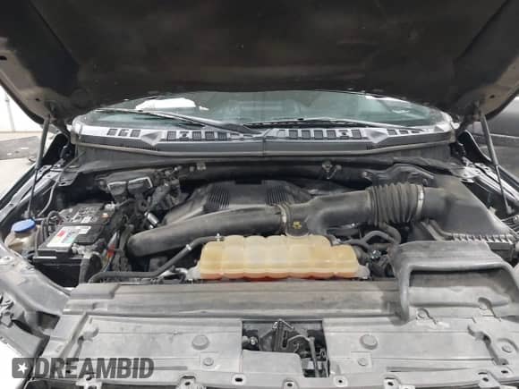 2018 Ford F-150 XL z VIN 1FTFW1EG5JFA33692, wystawiony jako IAAI lot #42659170 z przebiegiem 164 974 mil mil oraz . Historia ofert i sprzedaży dostępna na DreamBid. Obrazek 10.