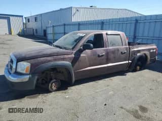2005 Dodge Dakota SLT with VIN 1D7HW48N25S338767, listed as a Copart auction lot 69151755 with 185,907 mi miles and Salvage title. Bid and sale history available at DreamBid. Image 1.