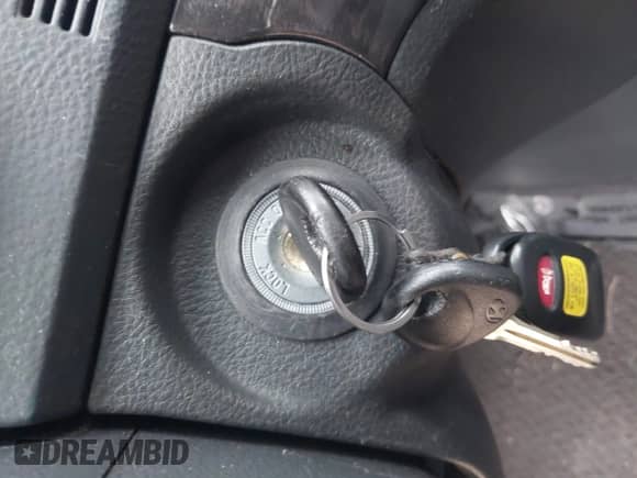 2009 Hyundai Santa Fe Limited with VIN 5NMSH13E29H308718, listed as a IAAI auction lot 43465931 with 123,897 mi miles and . Bid and sale history available at DreamBid. Image 11.