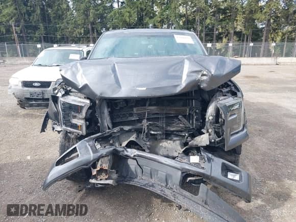 2017 Ford F-150 XL z VIN 1FTEW1EF1HFB45502, wystawiony jako IAAI lot #43426611 z przebiegiem 148 466 mil mil oraz . Historia ofert i sprzedaży dostępna na DreamBid. Obrazek 13.