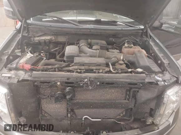 2010 Ford F-150 XL с VIN 1FTFW1EV2AFA31073, выставлен на аукционе IAAI как лот 43105993 с пробегом 183 274 миль миль и . История ставок и продаж доступна на DreamBid. Изображение 10.