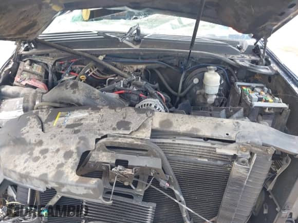 2007 Cadillac Escalade with VIN 1GYEC63807R387344, listed as a IAAI auction lot 42685891 with Not provided miles and . Bid and sale history available at DreamBid. Image 10.