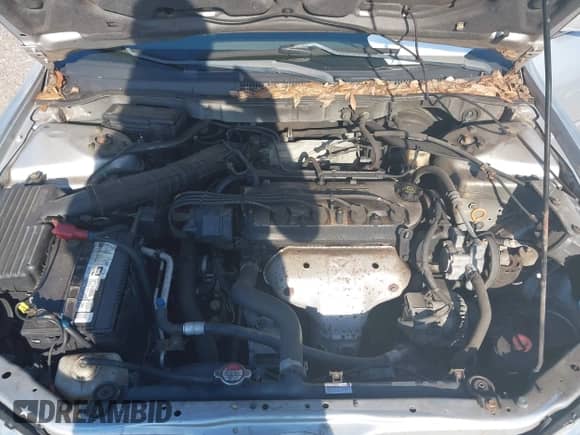 2002 Honda Accord LX with VIN 1HGCG56462A065742, listed as a IAAI auction lot 42862037 with 126,149 mi miles and . Bid and sale history available at DreamBid. Image 10.