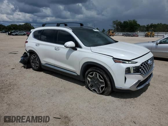 2023 Hyundai Santa Fe Limited with VIN 5NMS44AL5PH497103, listed as a Copart auction lot 68176545 with 93,039 mi miles and Salvage title. Bid and sale history available at DreamBid. Image 4.