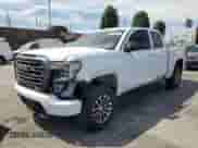 2020 GMC Sierra 1500 AT4 with VIN 1GTP9EELXLZ316476, listed as a Copart auction lot 70008625 with 29,604 mi miles and Salvage title. Bid and sale history available at DreamBid. Image 1.