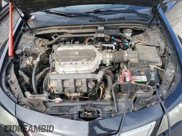 2013 Acura TL с VIN 19UUA8F29DA011408, выставлен на аукционе Copart как лот 85300355 с пробегом Не указан миль и Чистый • Clean title. История ставок и продаж доступна на DreamBid. Изображение 11.