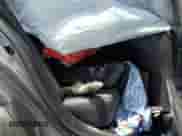 2020 Lexus IS 300 F Sport with VIN JTHGA1D20L5107925, listed as a Copart auction lot 62549335 with Not provided miles and Clean title. Bid and sale history available at DreamBid. Image 10.