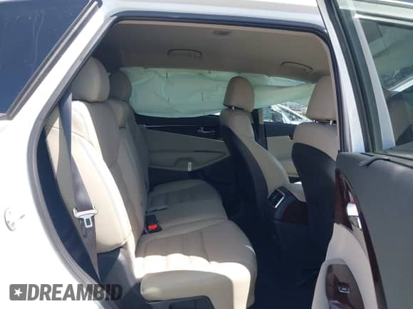 2017 Kia Sorento EX with VIN 5XYPH4A53HG239105, listed as a IAAI auction lot 42743324 with 36,008 mi miles and . Bid and sale history available at DreamBid. Image 8.