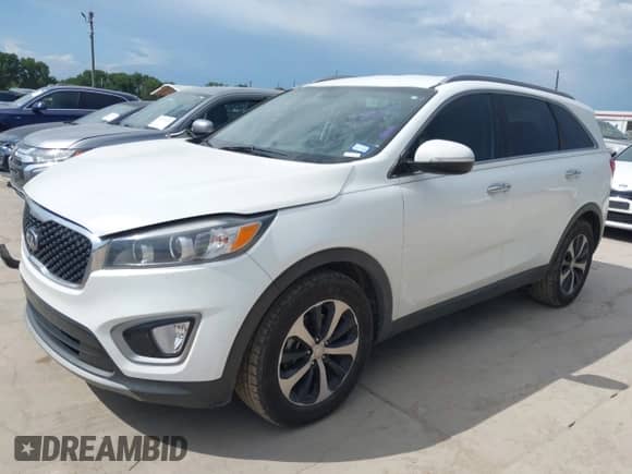 2016 Kia Sorento EX с VIN 5XYPH4A58GG096263, выставлен на аукционе IAAI как лот 42688559 с пробегом 120 922 миль миль и . История ставок и продаж доступна на DreamBid. Изображение 17.