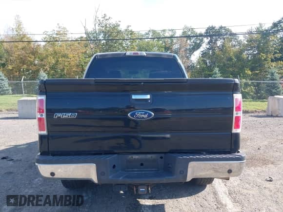2009 Ford F-150 XL with VIN 1FTRW14899FB19462, listed as a IAAI auction lot 43173510 with 195,631 mi miles and . Bid and sale history available at DreamBid. Image 16.