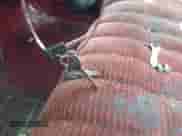 1994 Chevrolet Silverado 1500 с VIN 1GCEC14K7RE104435, выставлен на аукционе IAAI как лот 42515357 с пробегом 240 104 миль миль и . История ставок и продаж доступна на DreamBid. Изображение 11.