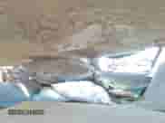 2007 Dodge 1500 ST with VIN 1D7HU16P07J578322, listed as a Copart auction lot 47026895 with Not provided miles and Salvage title. Bid and sale history available at DreamBid. Image 13.