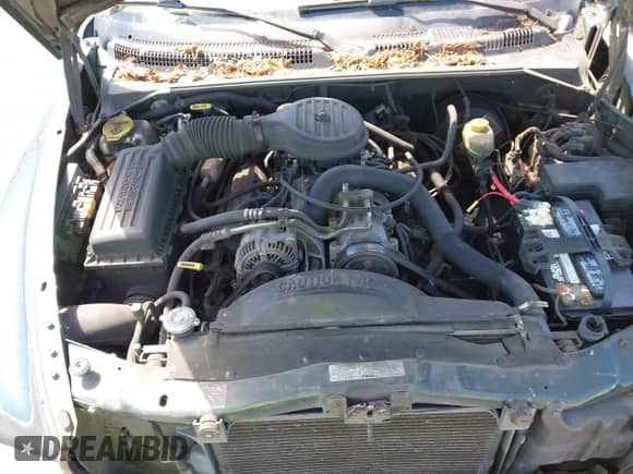 1998 Dodge Durango with VIN 1B4HS28Y0WF148154, listed as a IAAI auction lot 42841555 with 247,530 mi miles and . Bid and sale history available at DreamBid. Image 10.