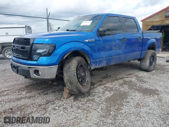 2010 Ford F-150 XL z VIN 1FTEW1E81AFC96122, wystawiony jako IAAI lot #43256912 z przebiegiem 100 585 mil mil oraz . Historia ofert i sprzedaży dostępna na DreamBid. Obrazek 19.