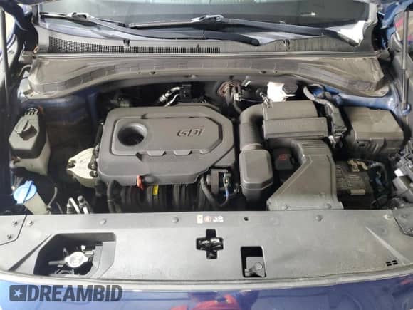 2019 Hyundai Santa Fe SE with VIN 5NMS2CAD4KH118982, listed as a Copart auction lot 59805895 with 85,511 mi miles and Salvage title. Bid and sale history available at DreamBid. Image 12.