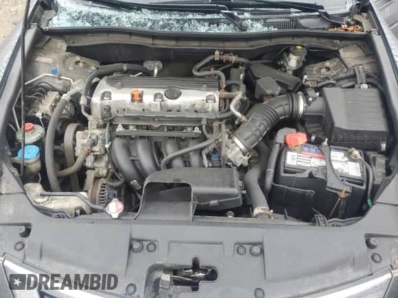 2010 Honda Accord LX-P with VIN 1HGCP2F41AA064771, listed as a Copart auction lot 81069195 with 104,204 mi miles and Salvage title. Bid and sale history available at DreamBid. Image 11.