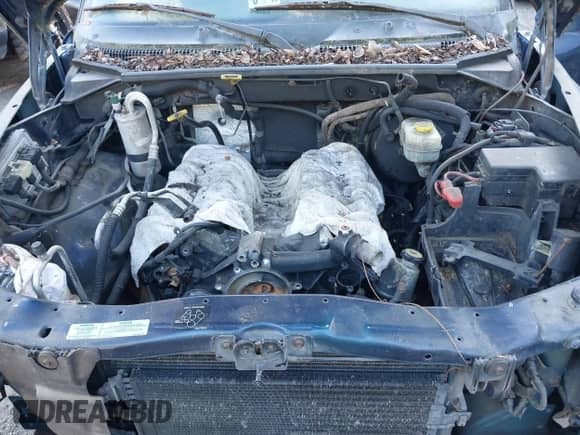 2000 Dodge Dakota Sport with VIN 1B7GL22N6YS729162, listed as a IAAI auction lot 43499520 with 170,552 mi miles and . Bid and sale history available at DreamBid. Image 10.