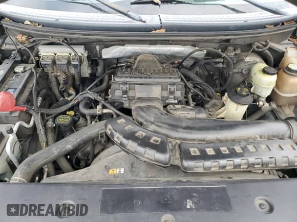 2006 Ford F-150 XLT with VIN 1FTPW14V36FA88511, listed as a Copart auction lot 69152395 with 216,622 mi miles and Salvage title. Bid and sale history available at DreamBid. Image 11.