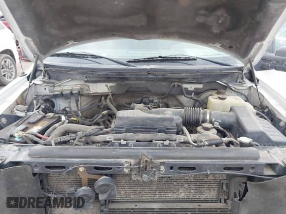 2010 Ford F-150 XL with VIN 1FTEX1CWXAKE10320, listed as a IAAI auction lot 41857017 with 361,739 mi miles and . Bid and sale history available at DreamBid. Image 10.