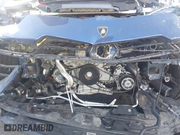 2024 Lamborghini Urus Performante with VIN ZPBUC3ZL3RLA30847, listed as a IAAI auction lot 40935032 with Not provided miles and . Bid and sale history available at DreamBid. Image 20.
