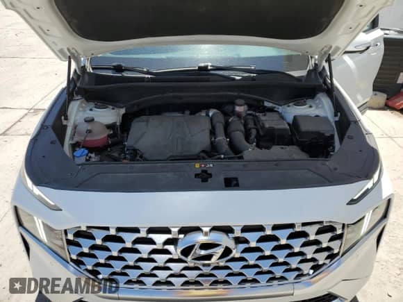 2021 Hyundai Santa Fe Limited with VIN 5NMS4DAL7MH308642, listed as a Copart auction lot 65938585 with 24,372 mi miles and Salvage title. Bid and sale history available at DreamBid. Image 12.