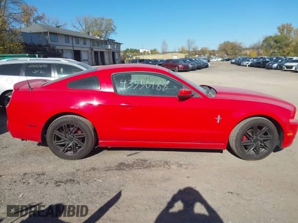 2014 Ford Mustang Premium with VIN 1ZVBP8AM1E5203717, listed as a IAAI auction lot 43550488 with 106,905 mi miles and . Bid and sale history available at DreamBid. Image 13.