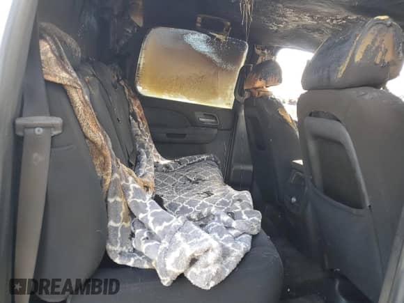 2010 Chevrolet Avalanche LS with VIN 3GNVKEE06AG244746, listed as a Copart auction lot 47807765 with Not provided miles and Salvage title. Bid and sale history available at DreamBid. Image 10.