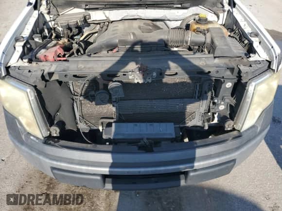 2013 Ford F-150 XL with VIN 1FTNF1CT0DKF87276, listed as a Copart auction lot 70772395 with 274,994 mi miles and Clean title. Bid and sale history available at DreamBid. Image 11.