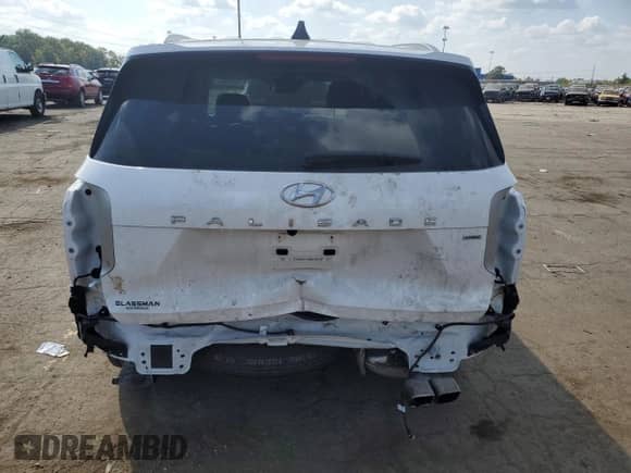 2025 Hyundai Palisade SEL with VIN KM8R2DGE3SU887868, listed as a Copart auction lot 81033095 with 8,915 mi miles and Salvage title. Bid and sale history available at DreamBid. Image 6.