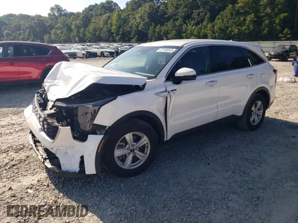 2024 Kia Sorento LX with VIN 5XYRG4JC2RG269949, listed as a Copart auction lot 67199345 with 33,290 mi miles and Salvage title. Bid and sale history available at DreamBid. Image 1.