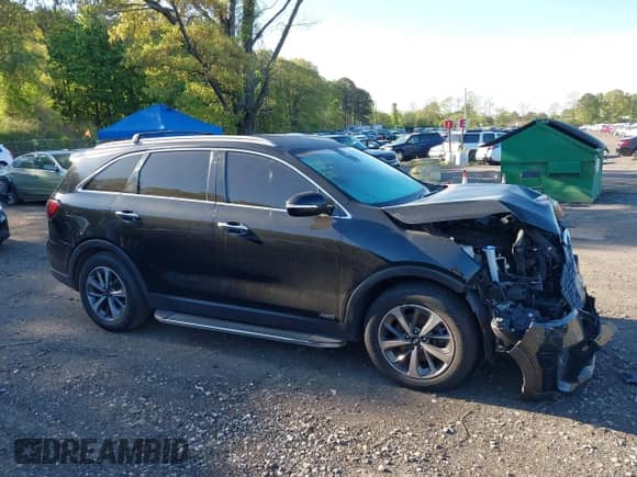 2019 Kia Sorento EX with VIN 5XYPHDA52KG466132, listed as a IAAI auction lot 42180877 with 63,449 mi miles and . Bid and sale history available at DreamBid. Image 13.