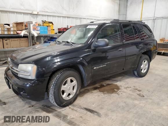2002 Chevrolet TrailBlazer LS with VIN 1GNDT13S222266789, listed as a Copart auction lot 58767475 with 207,172 mi miles and Non repairable. Bid and sale history available at DreamBid. Image 1.
