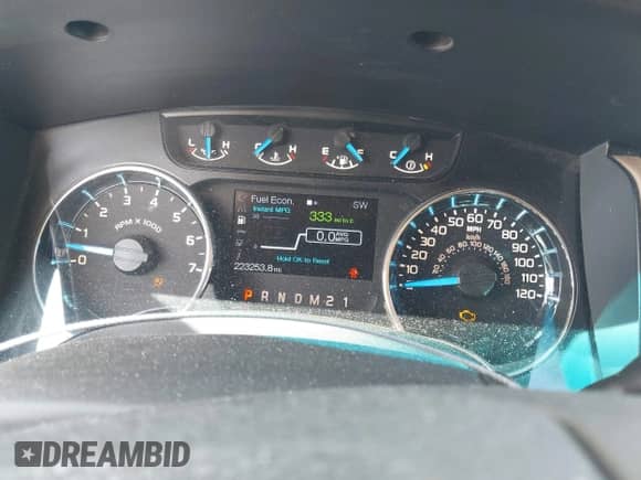 2013 Ford F-150 XL z VIN 1FTFX1CT8DFB46473, wystawiony jako IAAI lot #43378371 z przebiegiem 223 253 mil mil oraz . Historia ofert i sprzedaży dostępna na DreamBid. Obrazek 7.