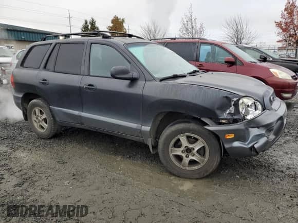 2002 Hyundai Santa Fe GLS с VIN KM8SC73D62U238546, выставлен на аукционе Copart как лот 83797674 с пробегом 169 183 миль миль и Списание • Salvage title. История ставок и продаж доступна на DreamBid. Изображение 4.