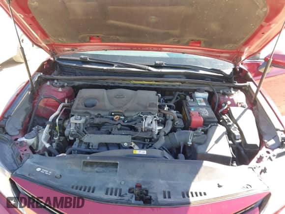 2019 Toyota Camry LE с VIN 4T1B11HK9KU699279, выставлен на аукционе IAAI как лот 43419759 с пробегом 158 641 миль миль и . История ставок и продаж доступна на DreamBid. Изображение 10.