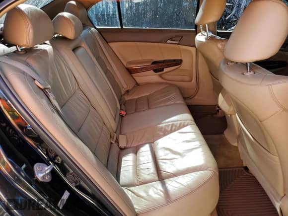 2009 Honda Accord EX-L with VIN 5KBCP36859B501067, listed as a Copart auction lot 80668554 with 159,910 mi miles and Salvage title. Bid and sale history available at DreamBid. Image 10.