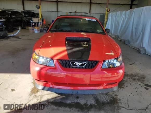 2002 Ford Mustang GT Deluxe z VIN 1FAFP45X72F157470, wystawiony jako Copart lot #84894705 z przebiegiem 6 180 mil mil oraz Szkoda całkowita • Salvage title. Historia ofert i sprzedaży dostępna na DreamBid. Obrazek 5.
