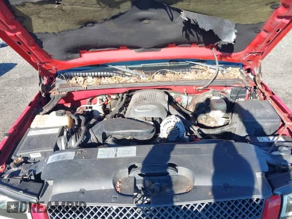 2005 Chevrolet Silverado 1500 Z71 с VIN 2GCEK13T451115806, выставлен на аукционе IAAI как лот 43520563 с пробегом 177 787 миль миль и . История ставок и продаж доступна на DreamBid. Изображение 10.