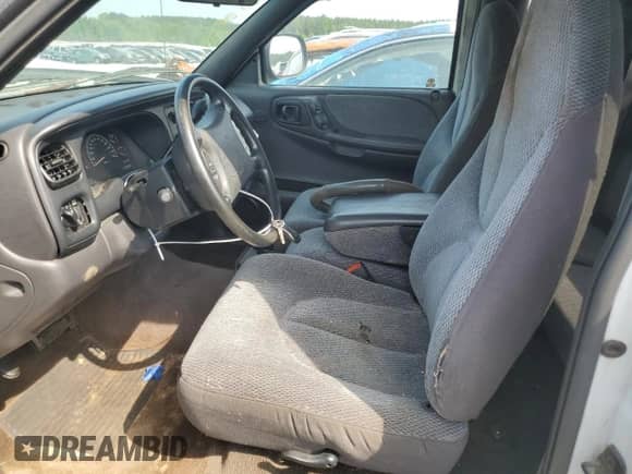 1999 Dodge Dakota SLT with VIN 1B7GL22X0XS237307, listed as a Copart auction lot 58058365 with 280,793 mi miles and Salvage title. Bid and sale history available at DreamBid. Image 7.