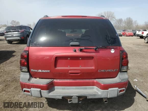 2002 Chevrolet TrailBlazer LS with VIN 1GNDT13S422462068, listed as a Copart auction lot 46504315 with 234,984 mi miles and Salvage title. Bid and sale history available at DreamBid. Image 6.