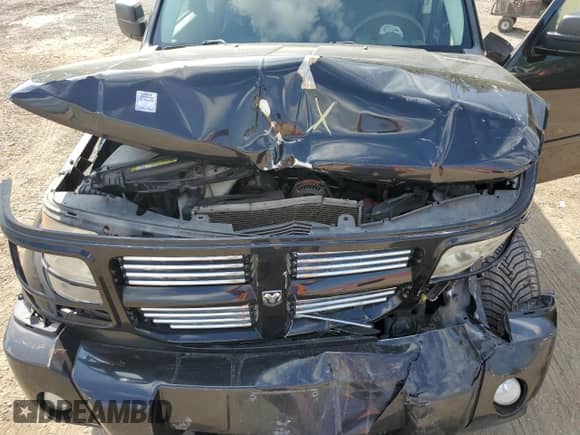 2010 Dodge Nitro SXT z VIN 1D4PU5GK5AW146659, wystawiony jako Copart lot #81163675 z przebiegiem 217 859 mil mil oraz Szkoda całkowita • Salvage title. Historia ofert i sprzedaży dostępna na DreamBid. Obrazek 12.