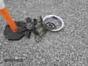 1979 Chevrolet Corvette с VIN 1Z8789S443088, выставлен на аукционе Copart как лот 54487225 с пробегом 22 449 миль миль и Списание • Salvage title. История ставок и продаж доступна на DreamBid. Изображение 12.