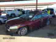 2011 Honda Accord EX-L with VIN 1HGCP2F81BA103119, listed as a IAAI auction lot 42588588 with Not provided miles and . Bid and sale history available at DreamBid. Image 2.