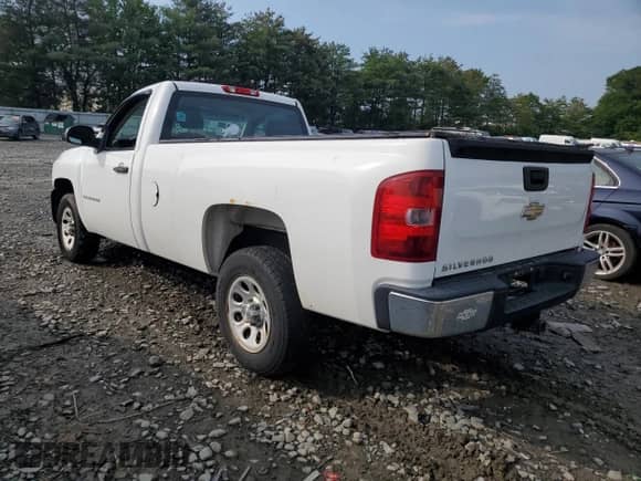 2009 Chevrolet Silverado 1500 Work Truck with VIN 1GCEC14C49Z159779, listed as a Copart auction lot 63124245 with 176,305 mi miles and Clean title. Bid and sale history available at DreamBid. Image 2.