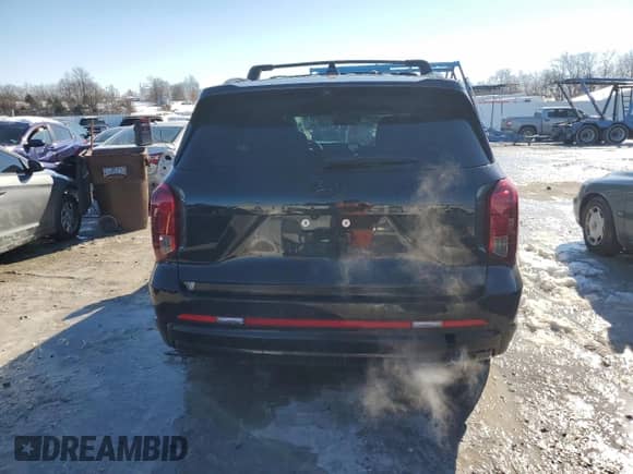 2024 Hyundai Palisade Calligraphy z VIN KM8R7DGE2RU675121, wystawiony jako Copart lot #87932435 z przebiegiem 35 791 mil mil oraz Nie do naprawy • Non repairable. Historia ofert i sprzedaży dostępna na DreamBid. Obrazek 6.