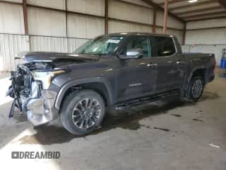 2023 Toyota Tundra Limited with VIN 5TFJA5DB0PX060923, listed as a Copart auction lot 84793995 with 39,838 mi miles and Salvage title. Bid and sale history available at DreamBid. Image 1.