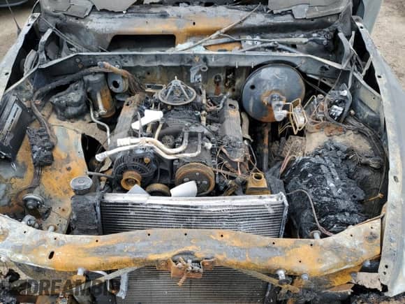 1998 Dodge Dakota SLT z VIN 1B7GG22Y0WS663798, wystawiony jako Copart lot #44569915 z przebiegiem Nie podano mil oraz Szkoda całkowita • Salvage title. Historia ofert i sprzedaży dostępna na DreamBid. Obrazek 11.
