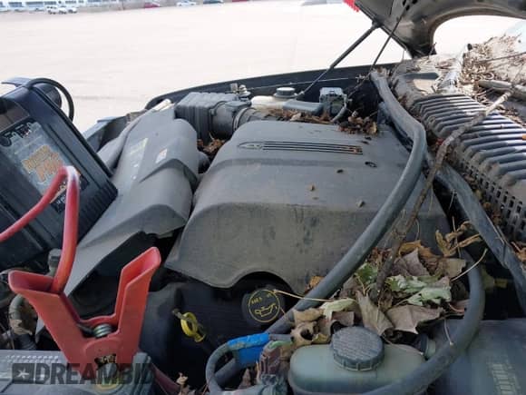 2002 Ford Explorer Limited с VIN 1FMZU75W82ZA59986, выставлен на аукционе IAAI как лот 42097239 с пробегом 229 773 миль миль и . История ставок и продаж доступна на DreamBid. Изображение 10.